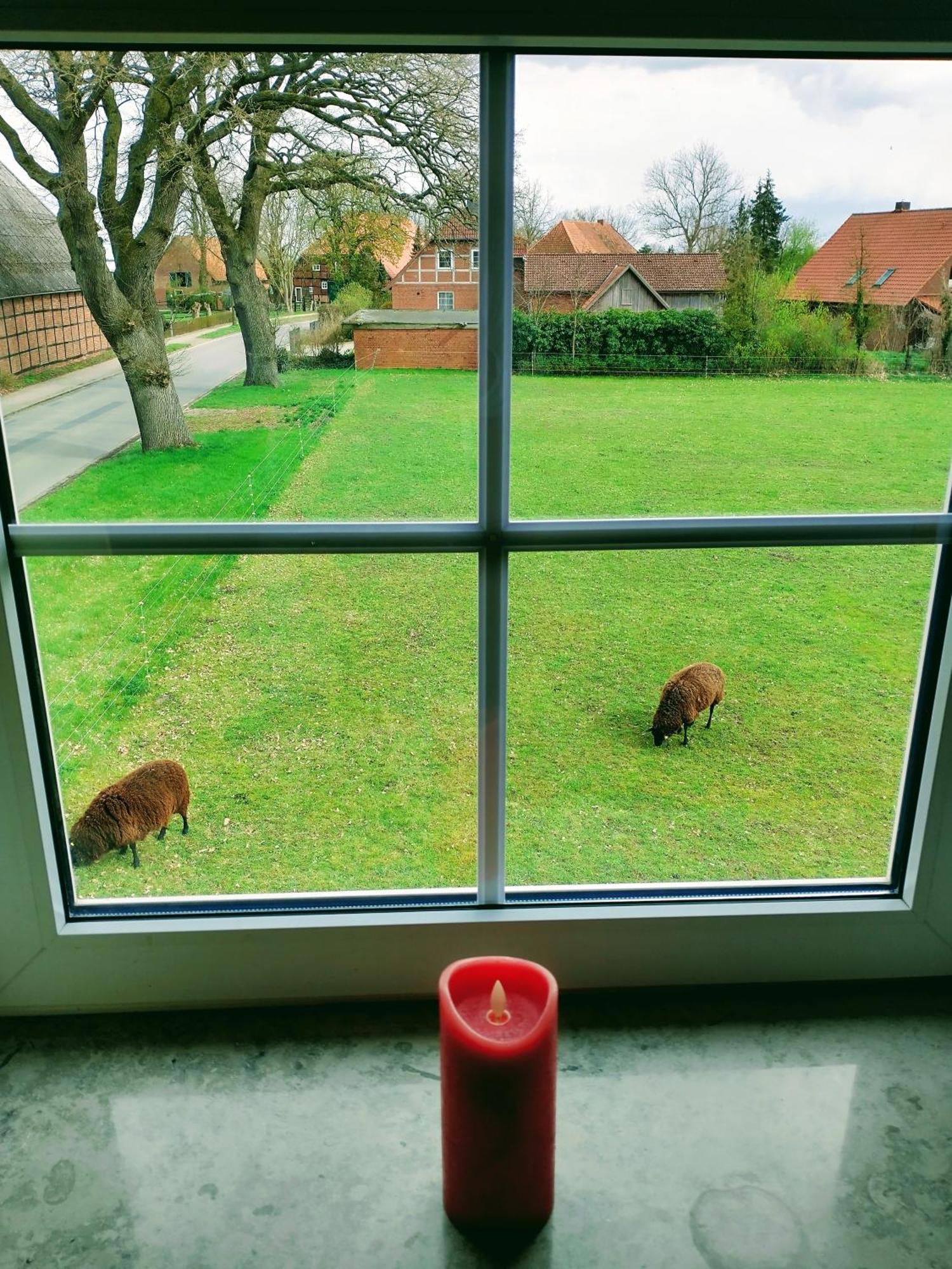Ruhiges Exzellenz-Appartement Diana Im Elb-Urstromtal - Fast Wlan, Good For Long-Terms ブレッケーデ エクステリア 写真